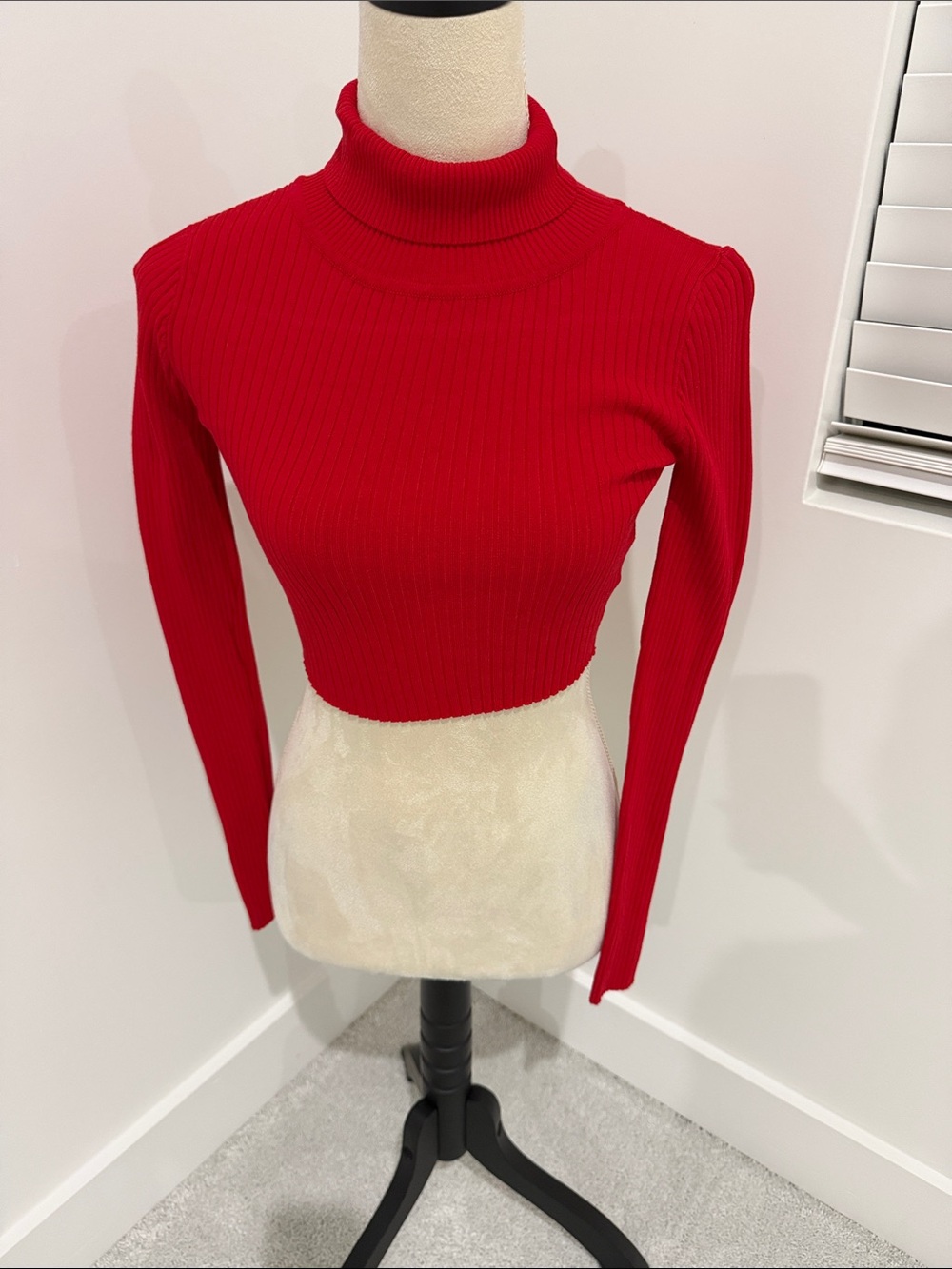 Hera Collection Red Ribbed Turtleneck Crop Top